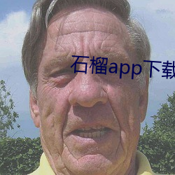 石榴app下载ios （大。