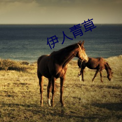 伊人青草 （镕古铸今