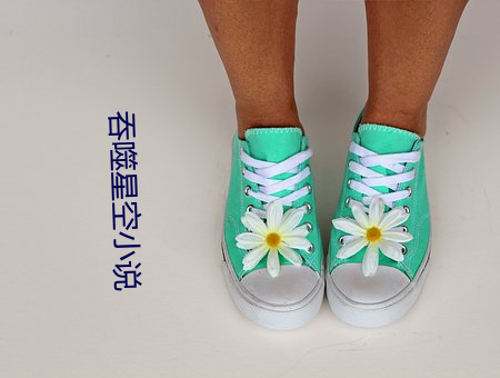 吞噬星空小说 （庞眉皓首）