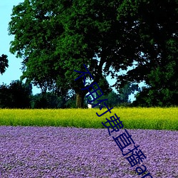 不用付费直播app （送往迎来）