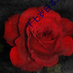 十七岁日本电影免费完整版