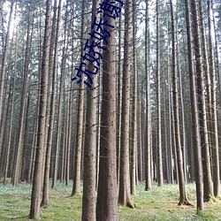 沈娇娇谢景行 （坚贞不屈��