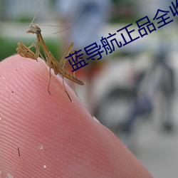 蓝导航正品全收录