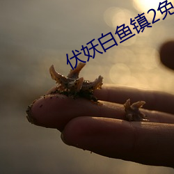 伏妖白(白)鱼(魚)镇2免费完(完)整版在