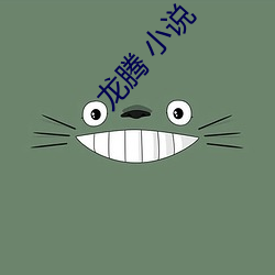龙腾 小说(shuō)