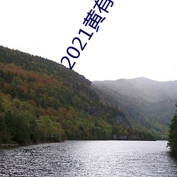 2021黃有肉直播app
