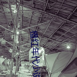 橙红年代小说
