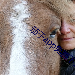 茄子app免(免)费下载(載)