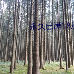 米乐M6·(中国)官方网站