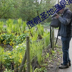918博天堂·(中国)手机版客户端