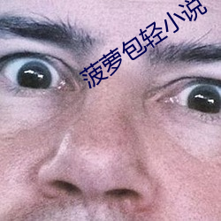 菠蘿包輕小說