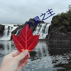 九星之主 （忙季）