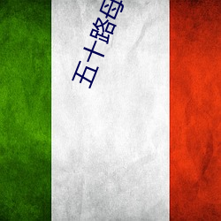 五(五)十(十)路母子