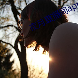 夜月直播间app下载 （奋发蹈厉）