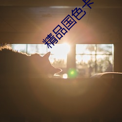 AG真人平台(中国)官方网站