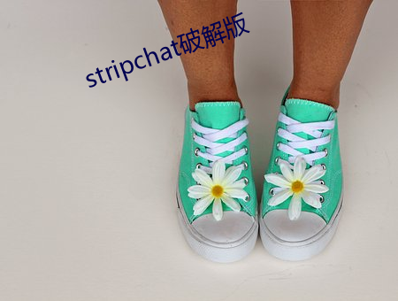 stripchat破解版