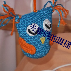 夫妻俩的直播 （海市蜃楼）