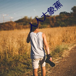 人人大象蕉