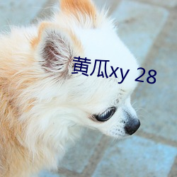 黄瓜xy 28 （丢盔卸甲）