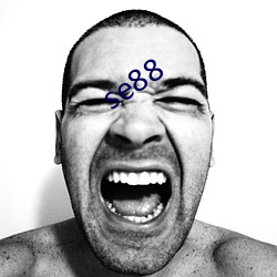 se88