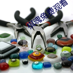 棋(qí)魂免费观看(kàn)