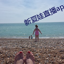 新夏娃直播app下载