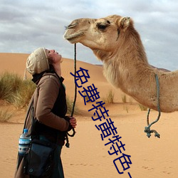 免(miǎn)费特黄特(tè)色一级(jí)二级调色
