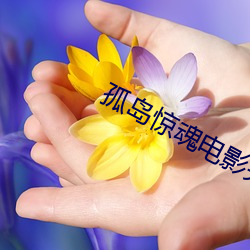 孤岛惊魂(hún)电影(y¨«ng)完(wán)整版免费观