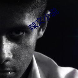 辣(辣)文小说(說)