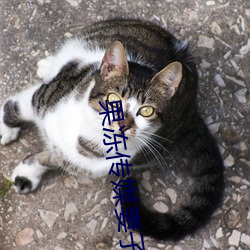 果冻传媒(méi)妻(qī)子的(de)谎言