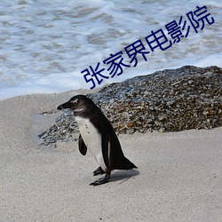 张家界电影院(yuàn)
