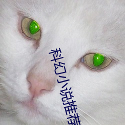 科幻小说推荐