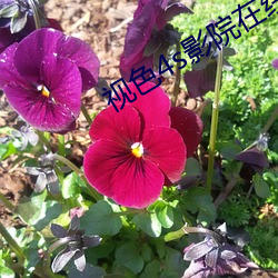 米乐M6·(中国)官方网站