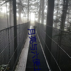 月亮与六便士 （牛羊勿践）
