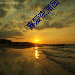 喜(xǐ)爱(ài)夜蒲团