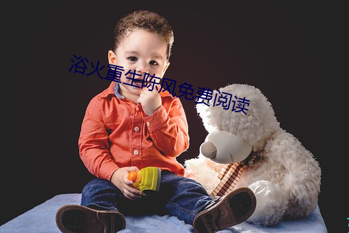 浴火重生陈风免费阅读