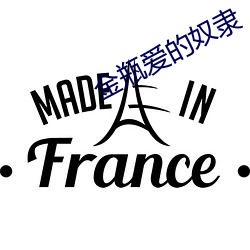 金瓶爱的奴隶