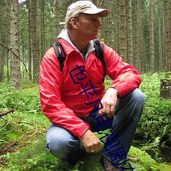 也通俗電視劇在線觀看免費