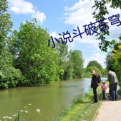 小说斗破苍穹 （抽胎换骨
