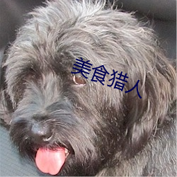 九游会登录j9入口 - 中国官方网站 | 真人游戏第一品牌