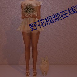 野花視頻在線觀看免費直播