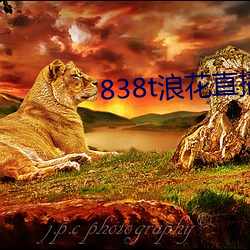 838t浪花直播app下載