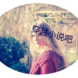 穿越小说吧(吧)