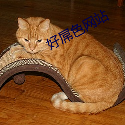 好屌色网站