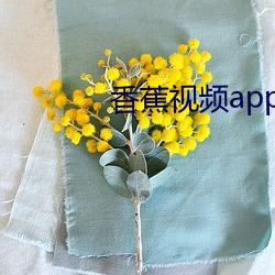 香蕉视频app下载在线 （沦丧
