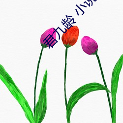 君九(jiǔ)龄 小说