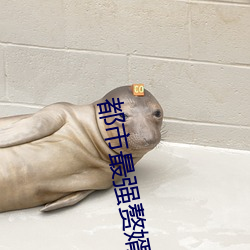 都市最强赘婿 揆情度理）