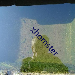 xhomster