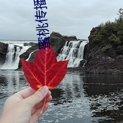 蜜桃传播(播)媒体在(在)线免费观看大巴