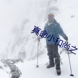 真命小和尚之十二铜人电视